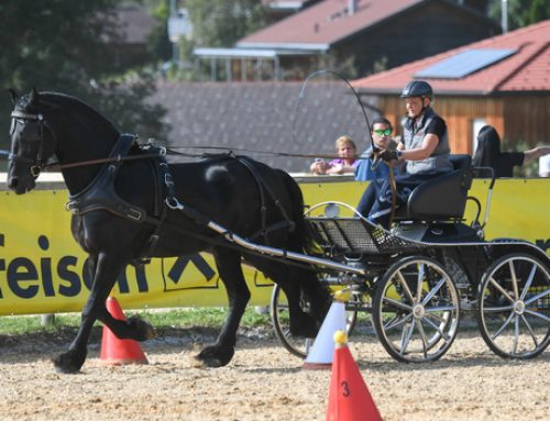 Reit- & Fahrverein Bregenzerwald: Tag des Pferdes